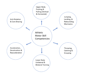 Maturation science for sport