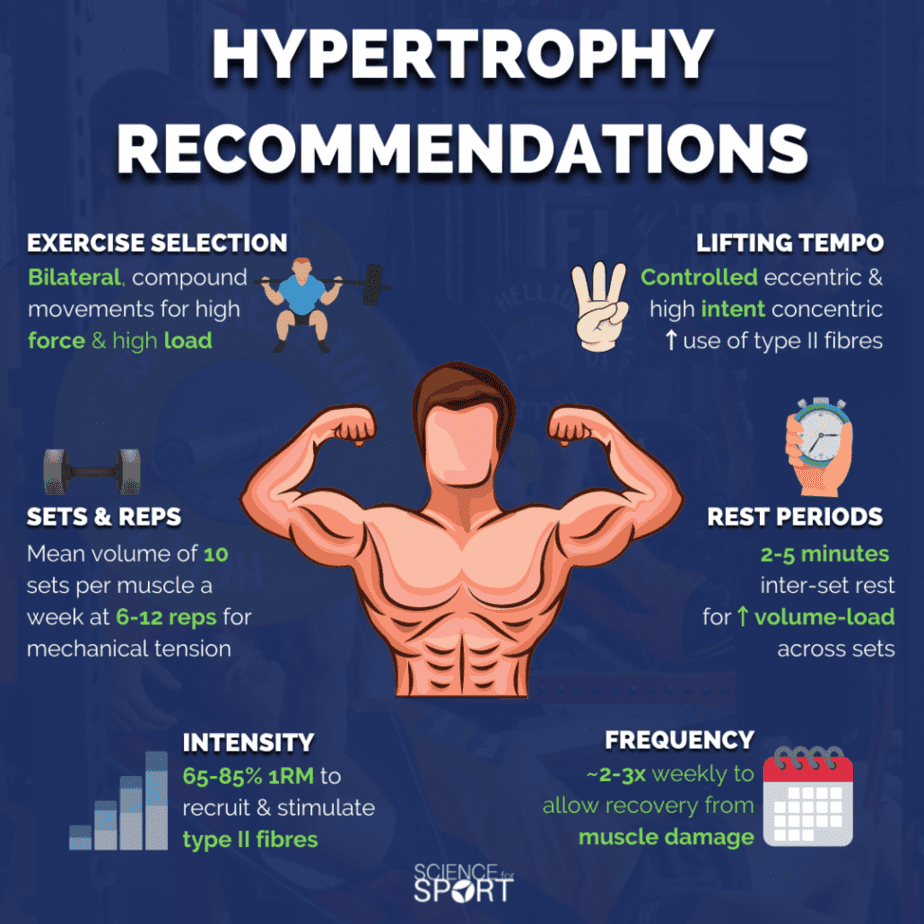 Hypertrophy