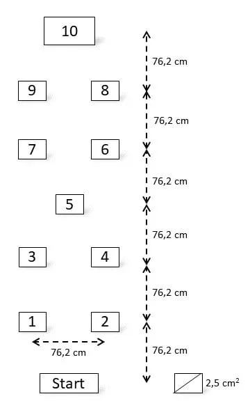 Modified BASS Balance Test - Science for Sport